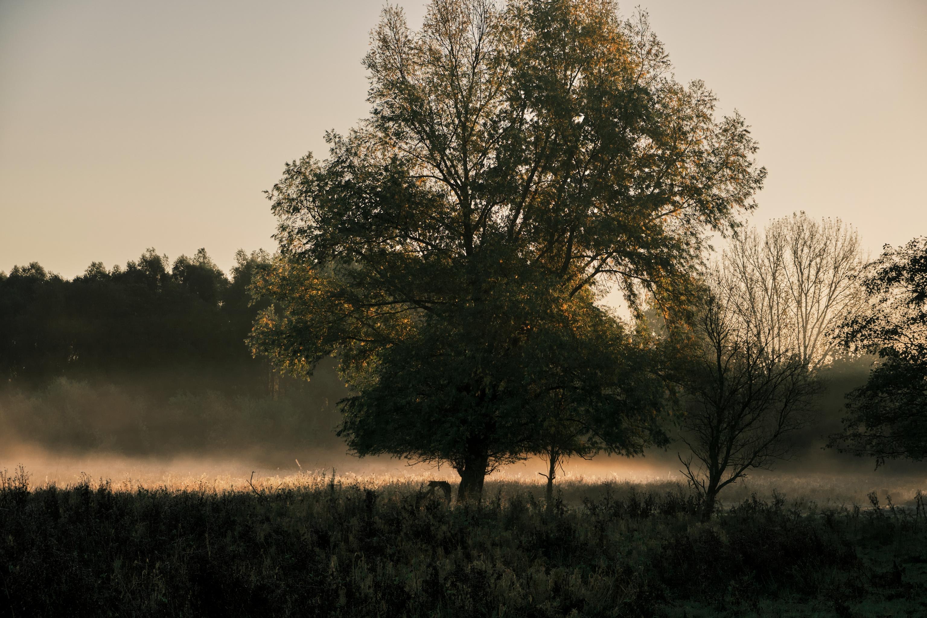 Photography by Wobbat