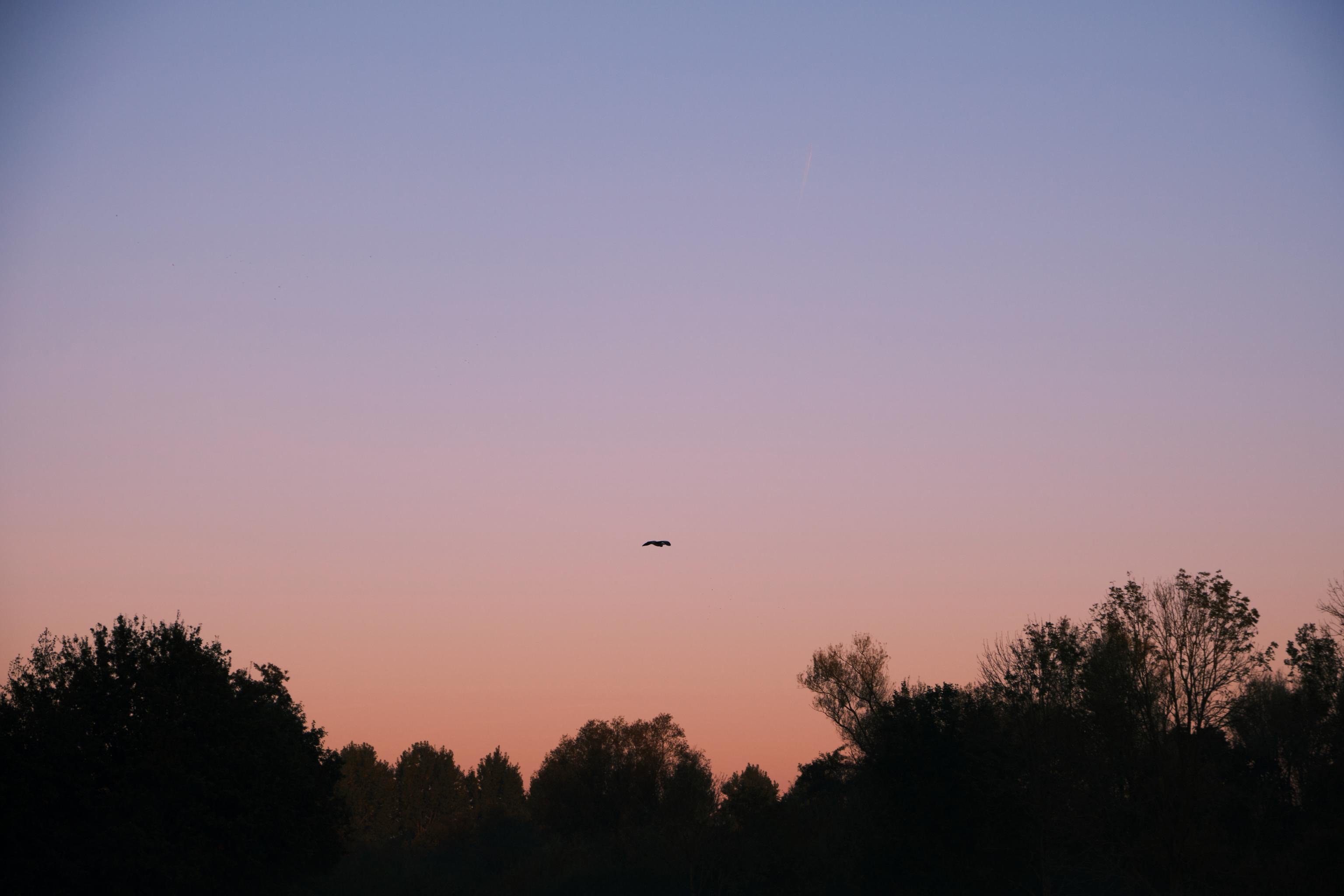 Photography by Wobbat