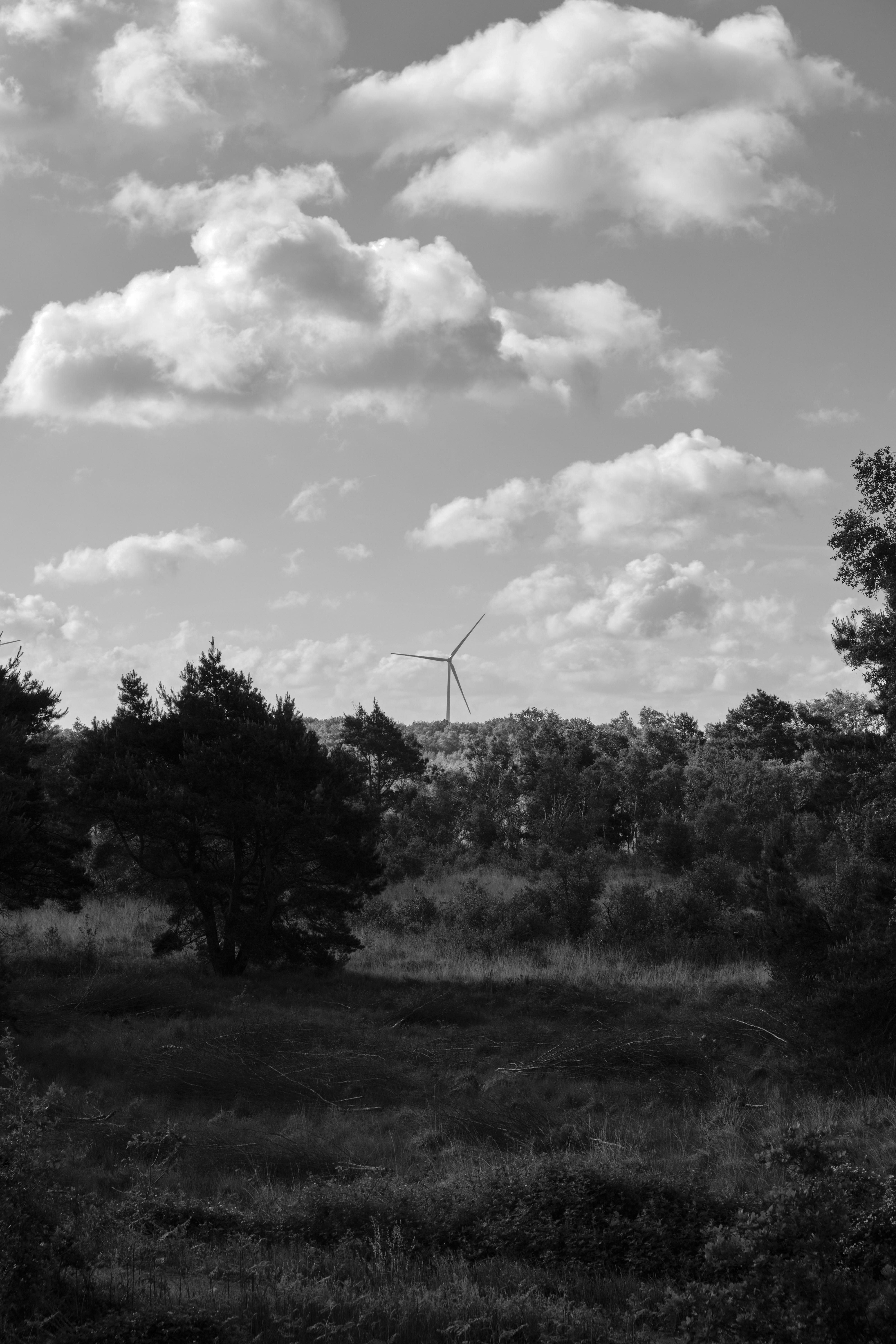 Photography by Wobbat