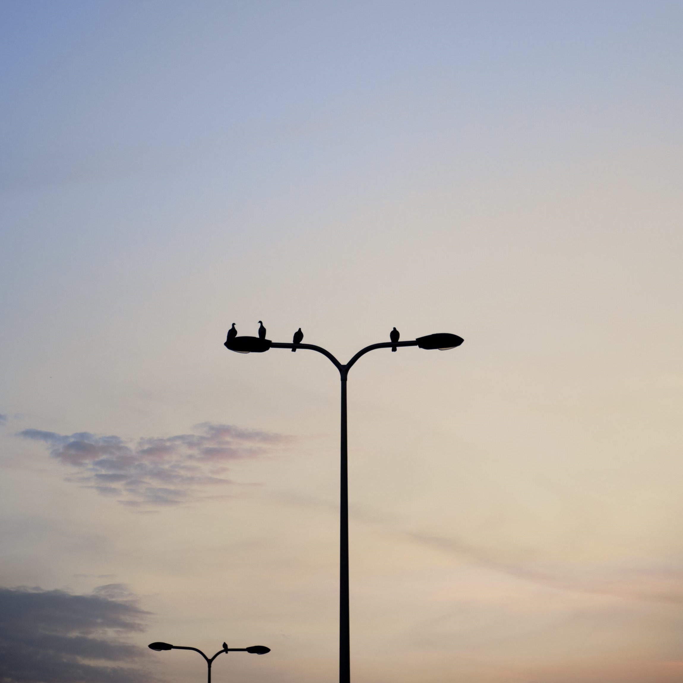 Photography by Wobbat