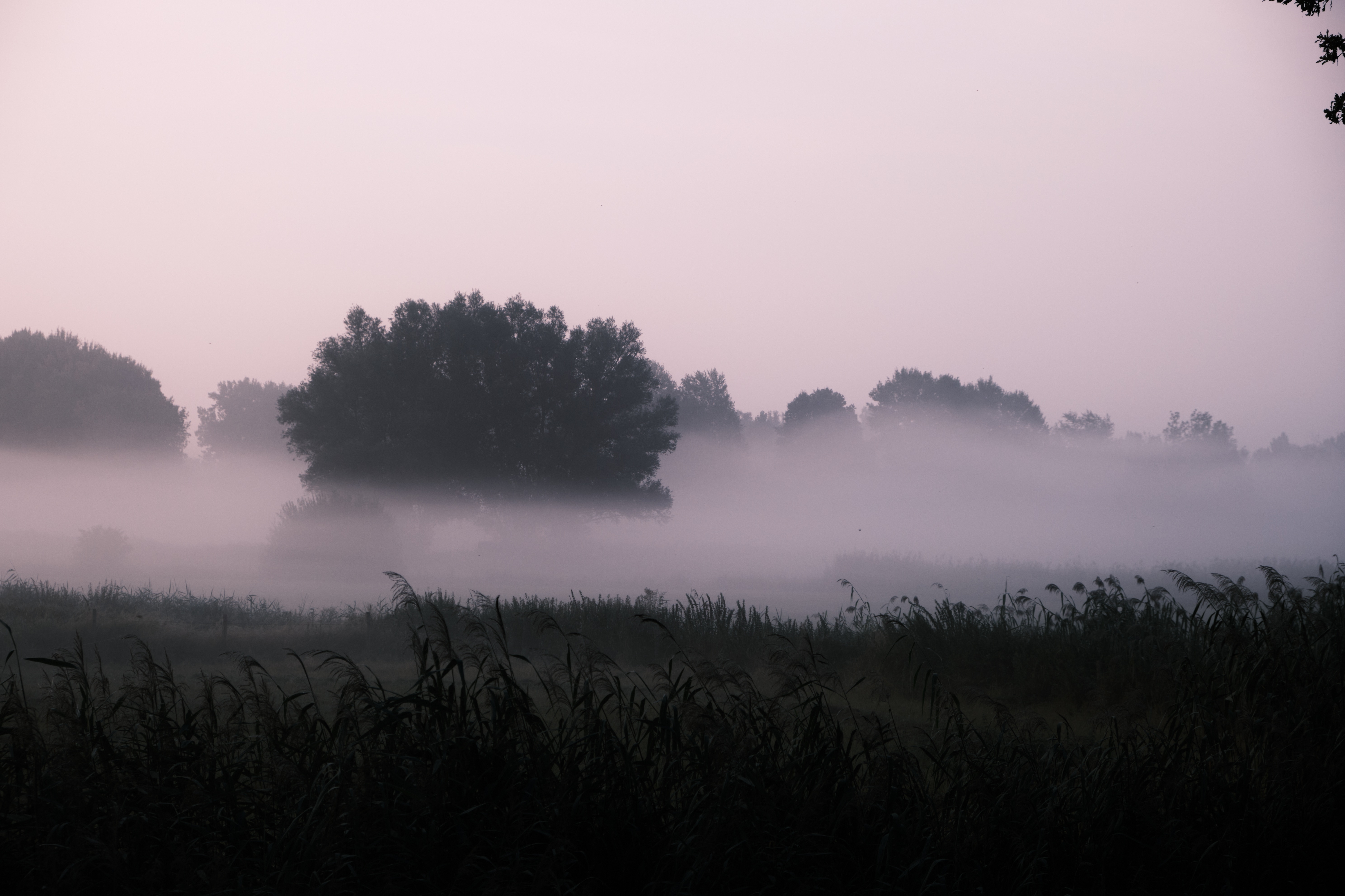 Photography by Wobbat