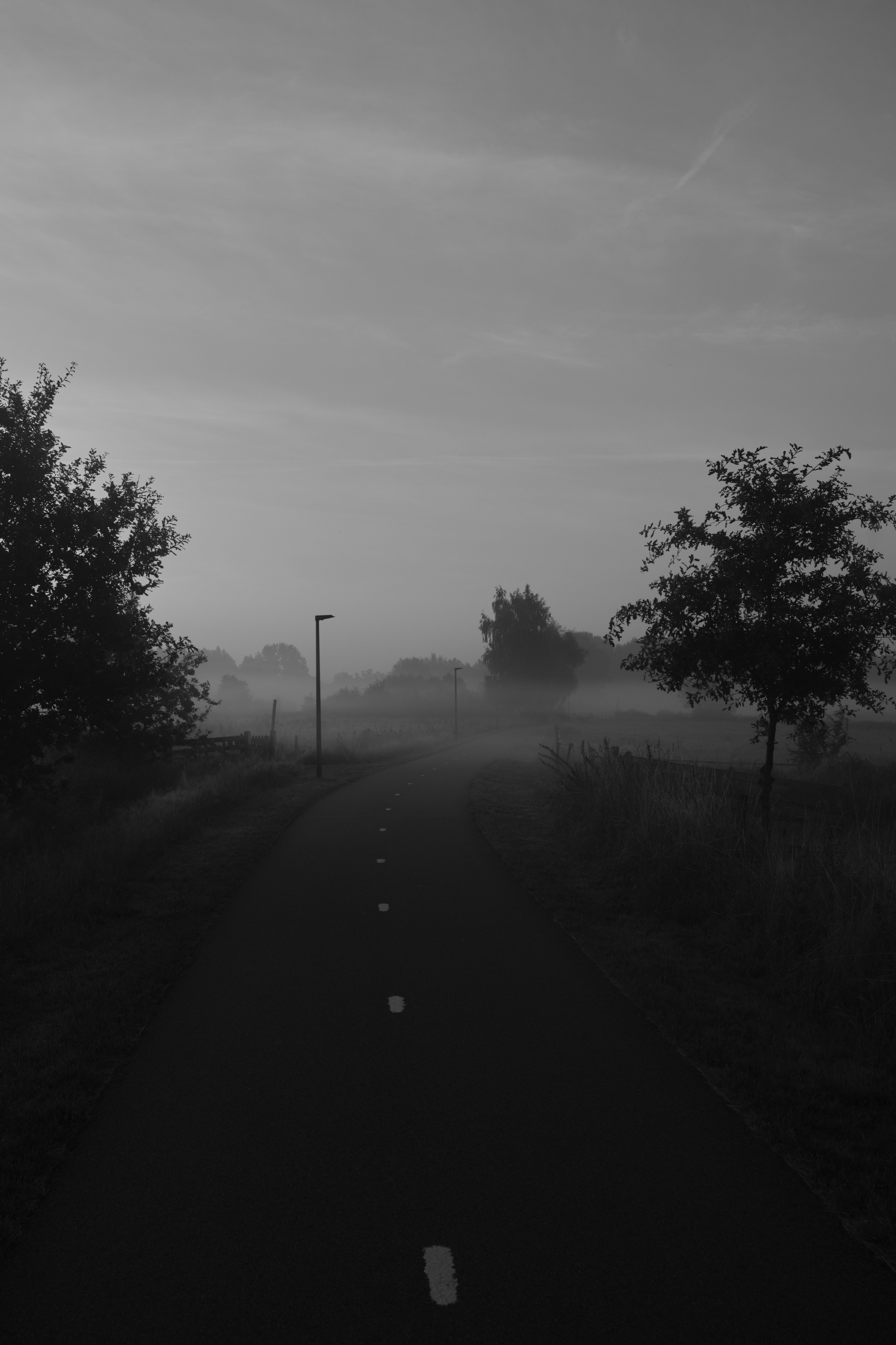 Photography by Wobbat