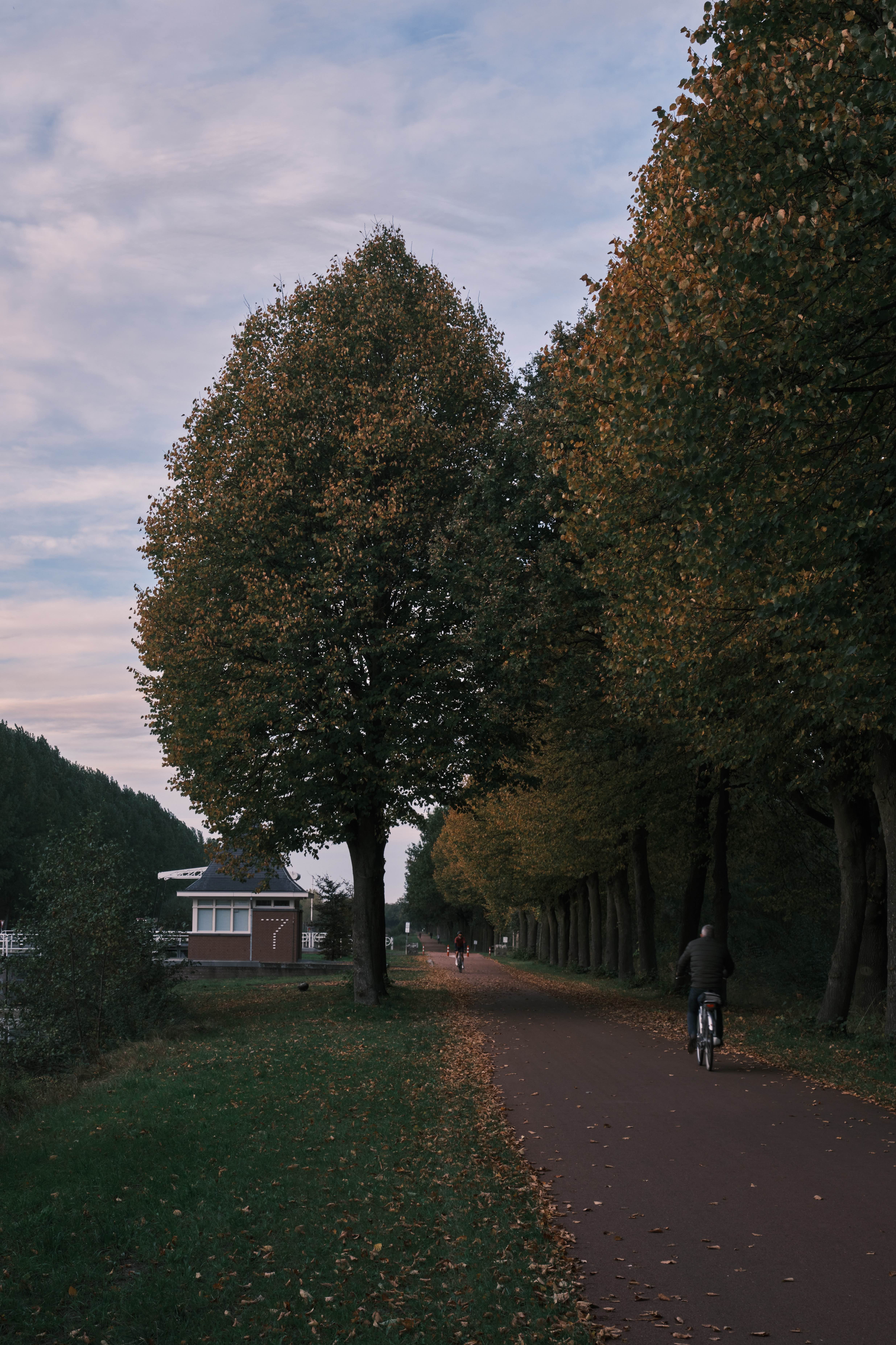 Photography by Wobbat