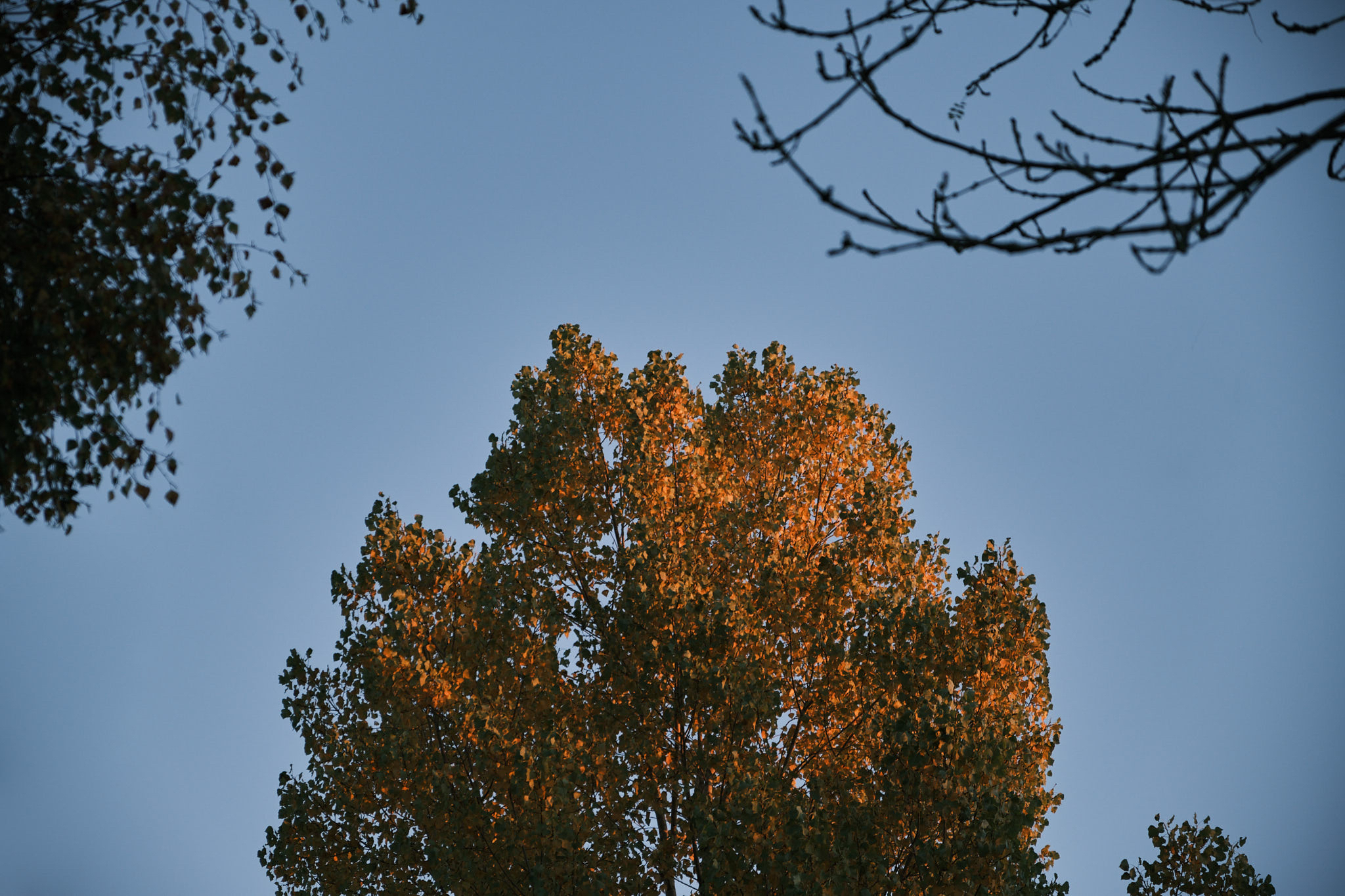 Photography by Wobbat