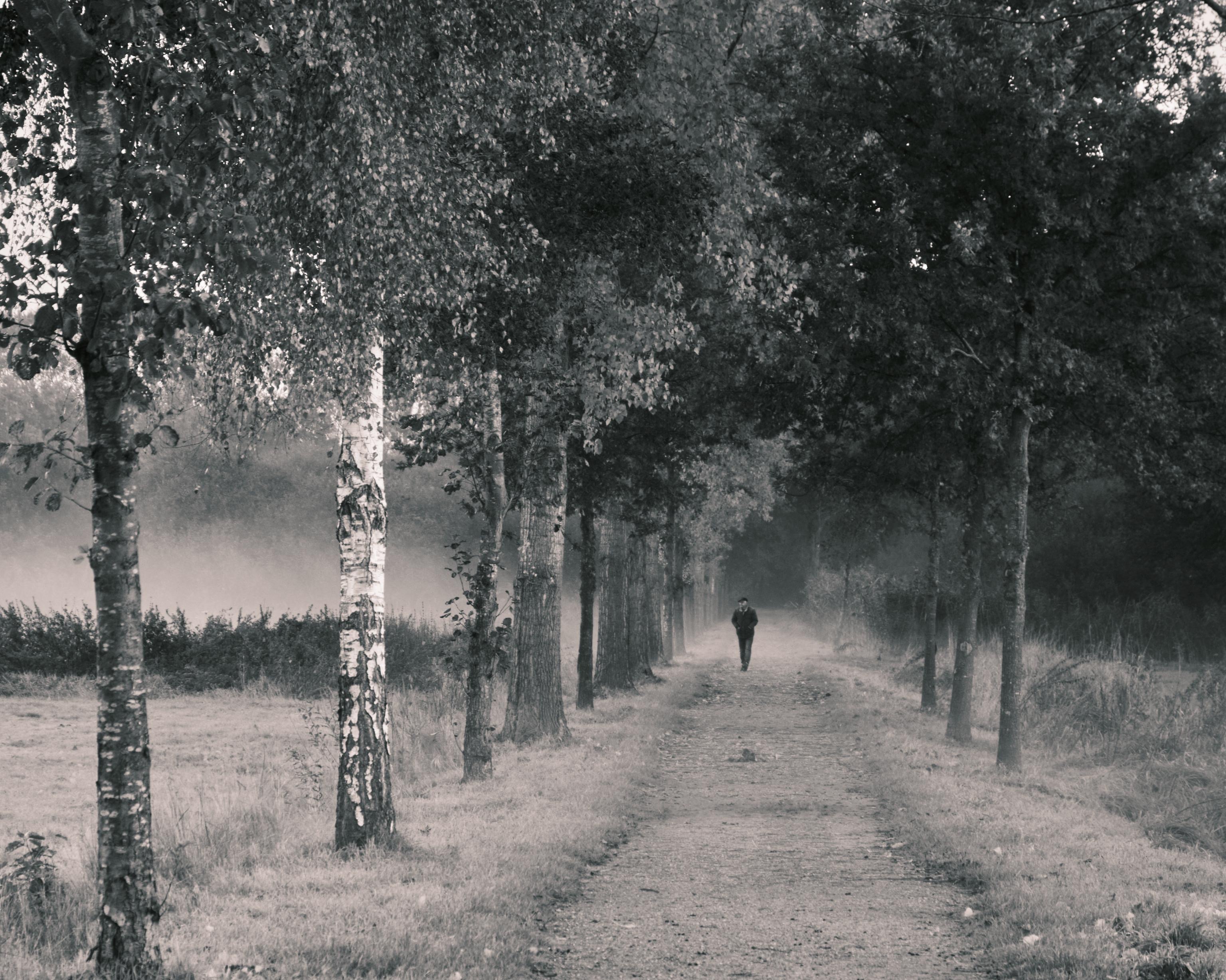 Photography by Wobbat